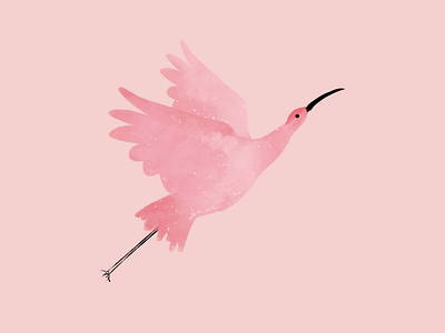 Pink Birdy