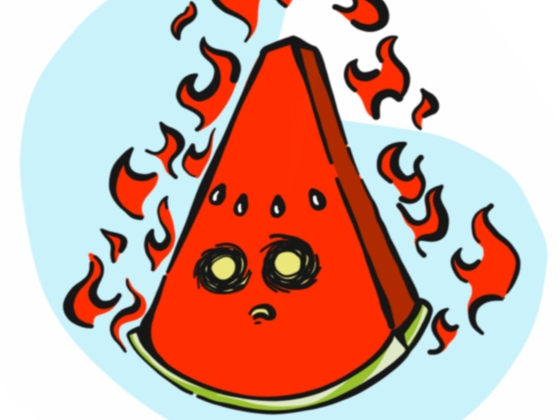 Fire Melon by Vessy Dimitrova on Dribbble