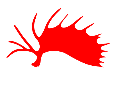 Shiras Logo Concept