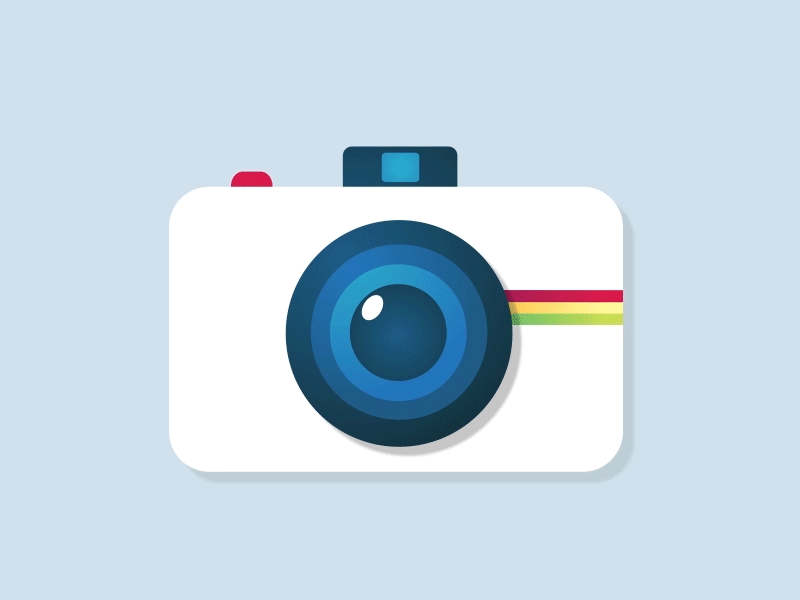 Polaroid cam