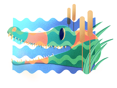 Crocodile animal blue crocodile graphic green illustration water