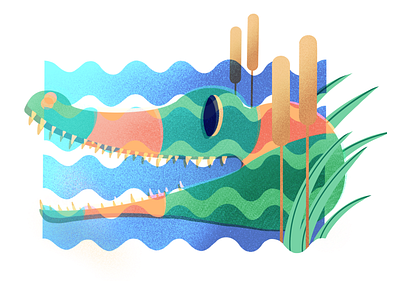 Crocodile