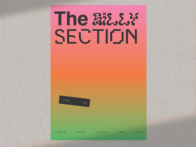 The Silly Section branding cover design gradient graphic design graphicdesign layout orange texture typography
