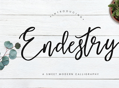 Endestry Modern Calligraphy branding brush calligraphy handwriting handwritten logo quotes script signature typography