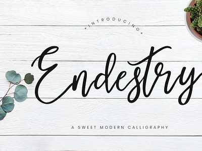 Endestry Modern Calligraphy