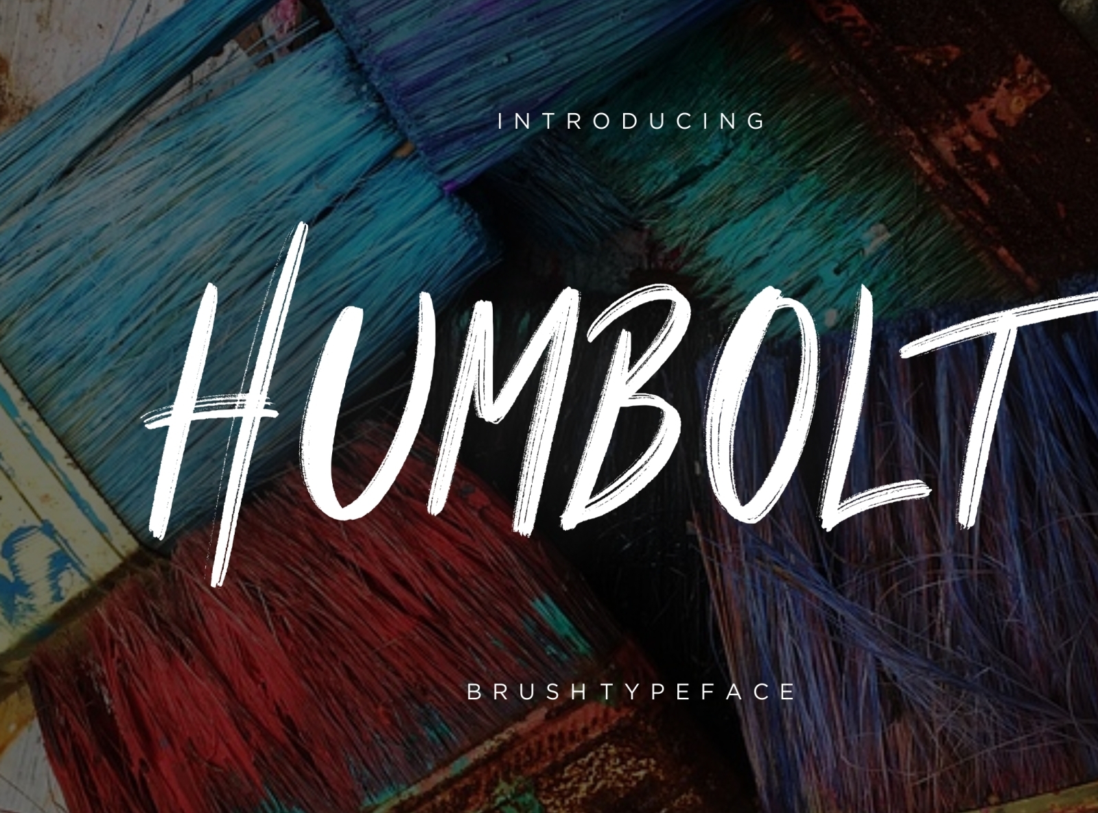 Humbolt Brush Typeface by Creatype Studio on Dribbble