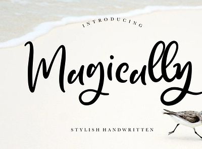 Magically Stylish Handwritten branding brush calligraphy handwriting handwritten logo quotes script signature typography