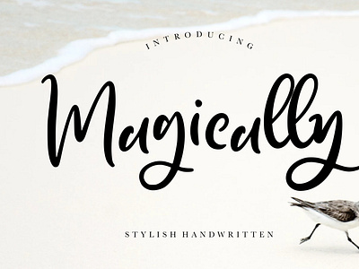 Magically Stylish Handwritten