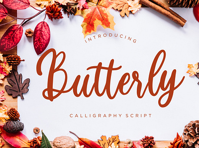 Butterly Calligraphy Script branding brush calligraphy handwriting handwritten logo quotes script signature typography
