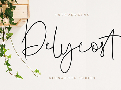 Delycost Signature Style branding brush calligraphy handwriting handwritten logo quotes script signature typography