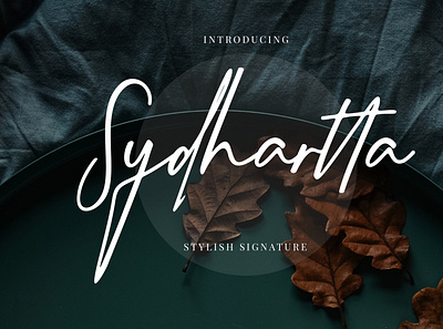 Sydhartta Stylish Signature branding brush calligraphy handwriting handwritten logo quotes script signature typography