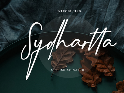 Sydhartta Stylish Signature