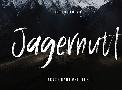 Jagernutt Brush Handwritten branding brush calligraphy handwriting handwritten logo quotes script signature typography