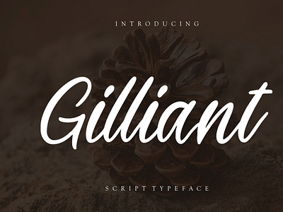 Gilliant Script Typeface