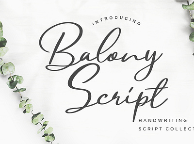 Balony Script Handwriting branding brush calligraphy handwriting handwritten logo quotes script signature typography