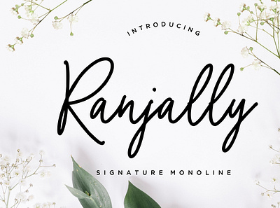 Ranjally Monoline Signature branding brush calligraphy handwriting handwritten logo quotes script signature typography