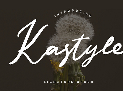 Kastyle Signature Brush branding brush calligraphy handwriting handwritten logo quotes script signature typography