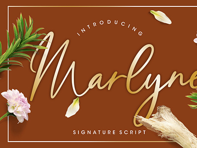 Marlyne Signature Script