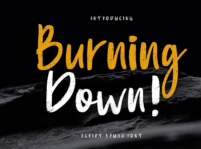 Burning Down Brush branding brush calligraphy handwriting handwritten logo quotes script signature typography