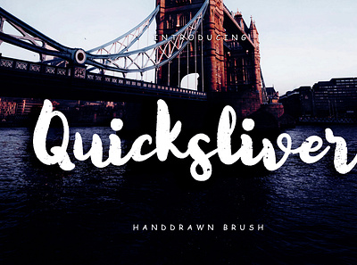 Quicksliver Handdrawn Brush branding brush calligraphy handwriting handwritten logo quotes script signature typography