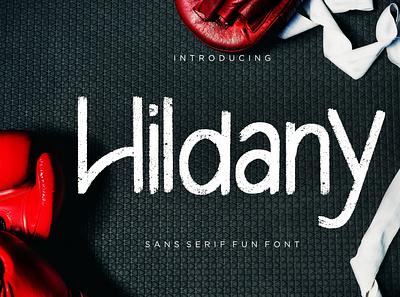 Hildany Sans Fun Font branding classy condensed display handdrawn handlettering handwritten handwritting sans serif serif