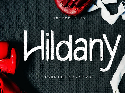 Hildany Sans Fun Font