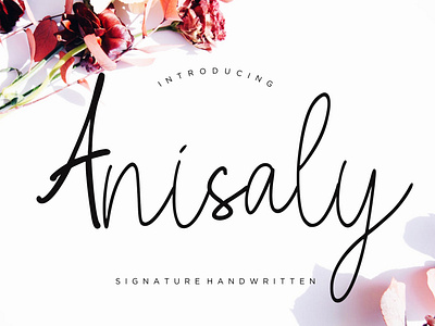 Anisaly Script