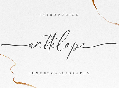 Anttelope Luxury Calligraphy font fonts free free fonts free script font free script fonts handwritten script script font