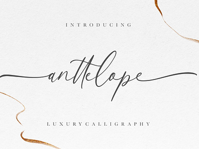 Anttelope Luxury Calligraphy