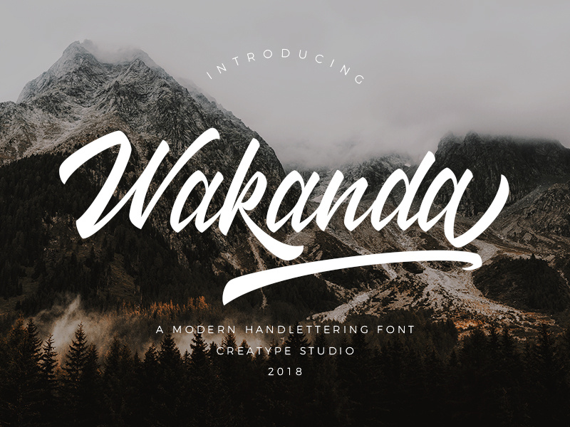 Wakanda Script Font elegant luxury stylish branding logo business fashion natural casual script handwritten handwriting