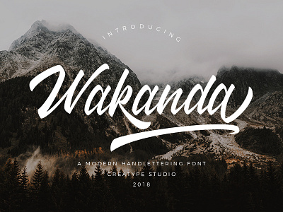 Wakanda Script Font branding business casual elegant fashion handwriting handwritten logo luxury natural script stylish