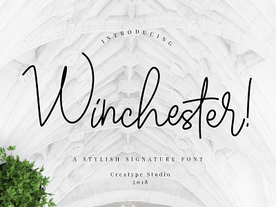 Winchester Signature Script branding casual fashion handwriting handwritten logo natural script signature typography