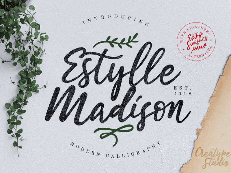 Estylle Madison Calligraphy business handdrawn beauty classy elegant branding signature typography logo calligraphy modern casual script handwritten handwriting