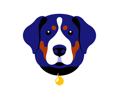 Swiss mountain dog animal dog head illustration muzzle portrait vector vector illustration