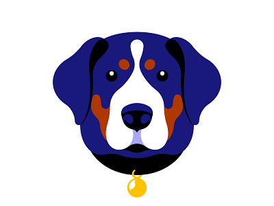 Swiss mountain dog