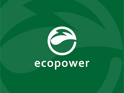 Eco Power branding design flat icon illustration logo