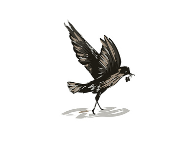 Petrel bird design drawing illusrtation logo