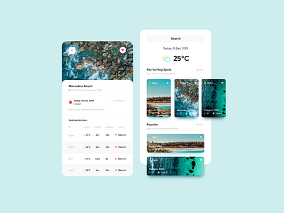 Weather and surfing conditions app app design ui