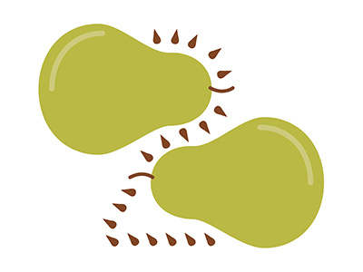 2 is for a pair of pears 2 36daysoftype number pair pear two type typography