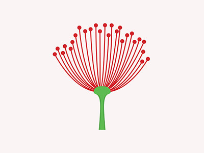 Pohutukawa flower design flower graphic design pohutukawa vector art