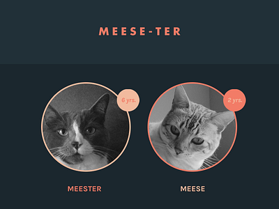 Meese-ter Website