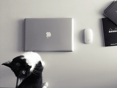 My Desk bw cat desk mac mouse photo photography tools workplace