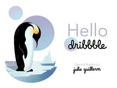 Hello Dribbble ! illustration minimalist design penguin procreate app