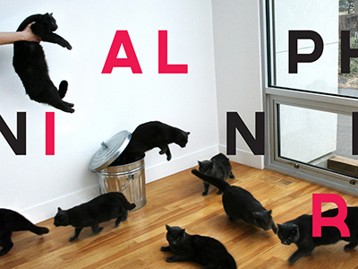 AIGA KC A9 9 aiga cat cats layering nine type and image typography