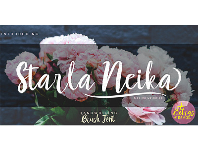 Starla Neika | BRUSH FONT brush brush script caligraphy handlettering handmade starla neika typography