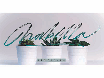 Nabilla Letter.co brush script handwriting logo my brand