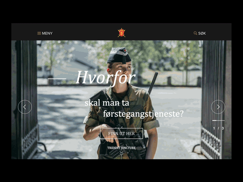 Norwegian Defence design front end frontpage ixd site design typogaphy ui ux website