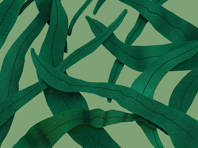 Green leaves design graphic green illustration leaves procreate