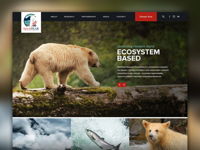 Website Homepage design flat fullscreen grid homepage layout nature photography responsive ui website wordpress