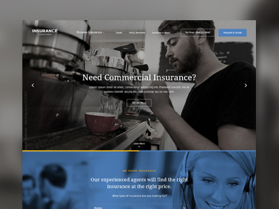 Insurance Website Homepage Concept